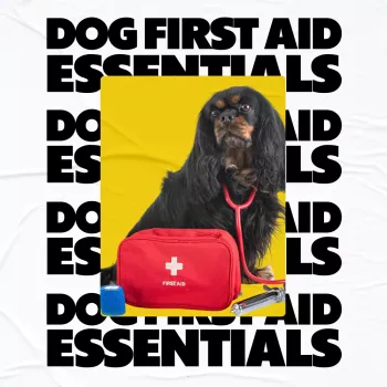 Dog First Aid Essentials: Kit Checklist & 5-Min Plan